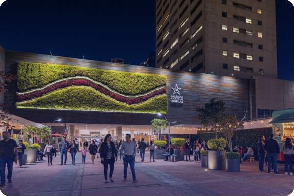 seguros afirme ocampo