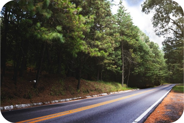 seguros para auto cuautla afirme